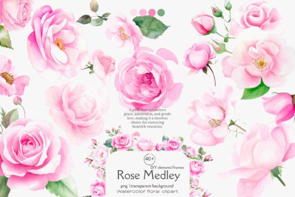 Download Pink Roses Watercolor Flowers Png - Roses Collection