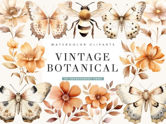 Download Watercolor Vintage Botanical Clipart - Botanical Collection