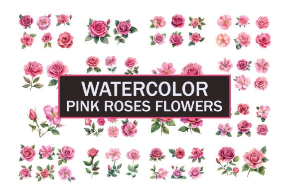 Download Hand Painted Roses - Roses Collection