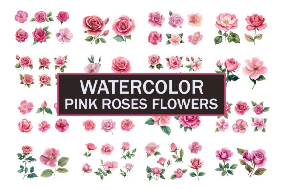 Download Hand Painted Roses - Roses Collection