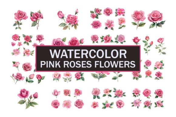 Download Hand Painted Roses Flowers - Roses Collection