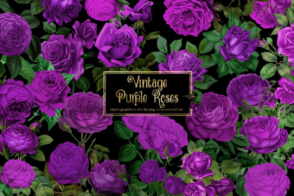 Download Vintage Purple Roses Clipart - Roses Collection