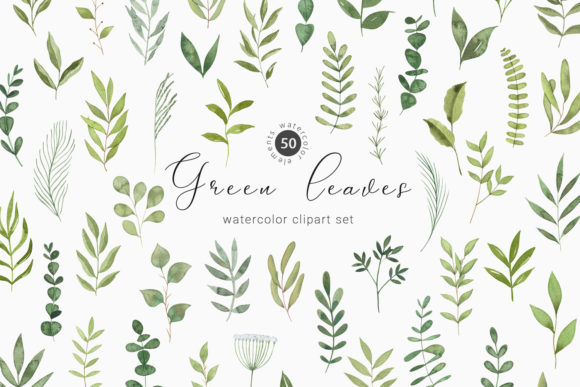 Download Watercolor Greenery Botanical Clipart - Botanical Collection
