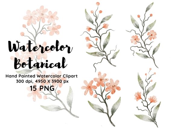 Download Watercolor Botanical Clipart PNG - Botanical Collection