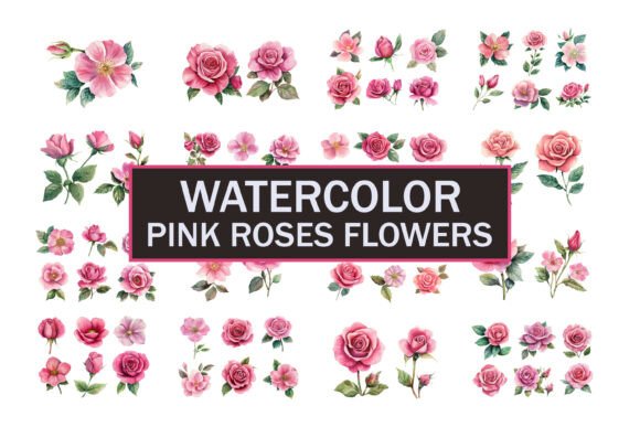 Download Hand Painted Roses Flowers - Roses Collection
