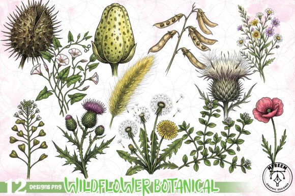 Download Wildflower Botanical Clipart PNG - Botanical Collection